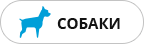 собаки